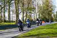 Lower Group Black Bikes